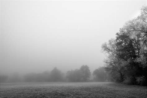  Die Flusslandschaft im Nebel – Eine Meisterhafte Verflechtung von Realität und Mystik!